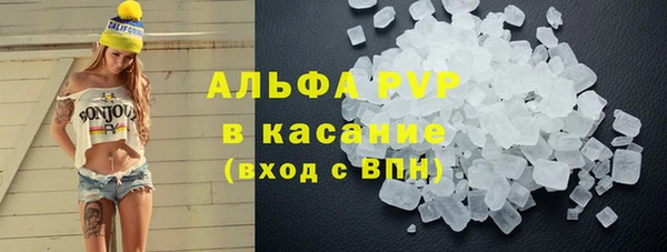 СК Новодвинск