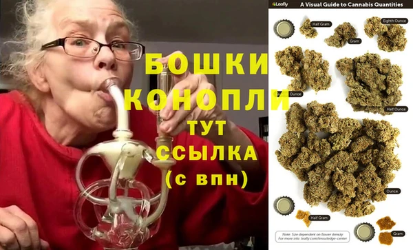 СК Новодвинск