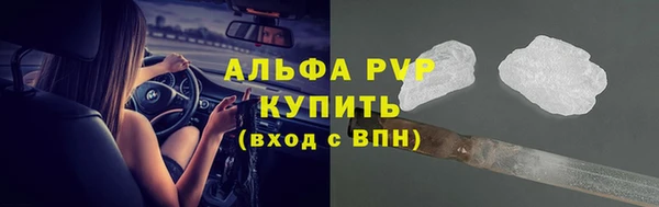 СК Новодвинск