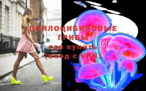 каннабис Новозыбков