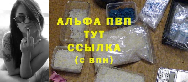 СК Новодвинск