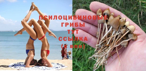 СК Новодвинск