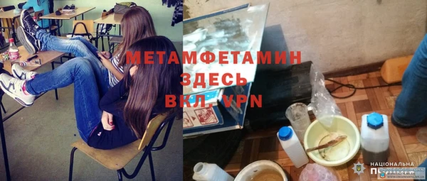 СК Новодвинск