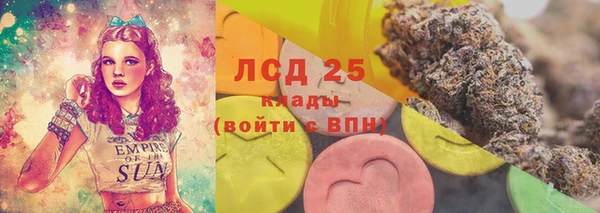 каннабис Новозыбков
