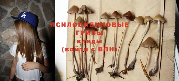 каннабис Новозыбков