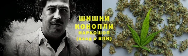 СК Новодвинск