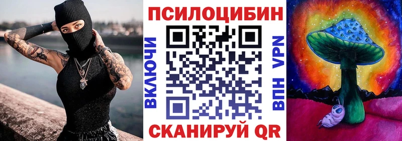 Купить закладки  Зерноград  Псилоцибиновые грибы ЛСД 